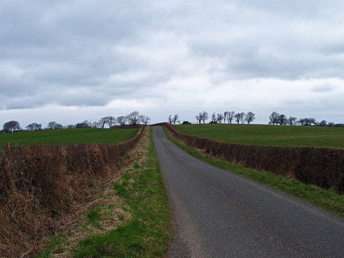 Photo minor road lawhill - photo,