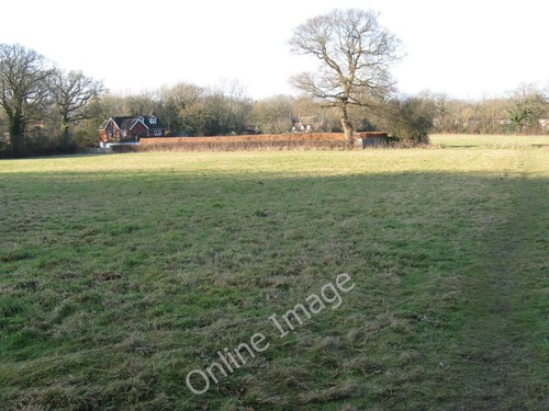 Photo 6x4 beech hedging around - 6x4,